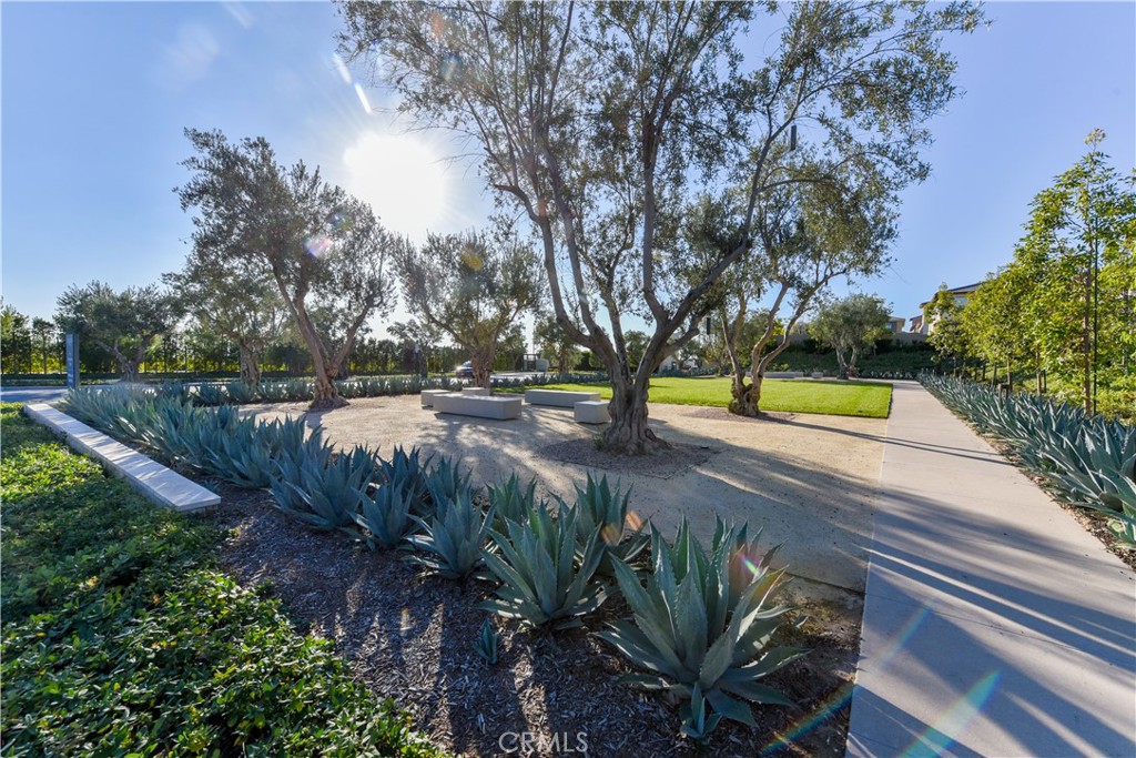 59 Dorado Irvine, CA 92618 - Photo 60 of 66