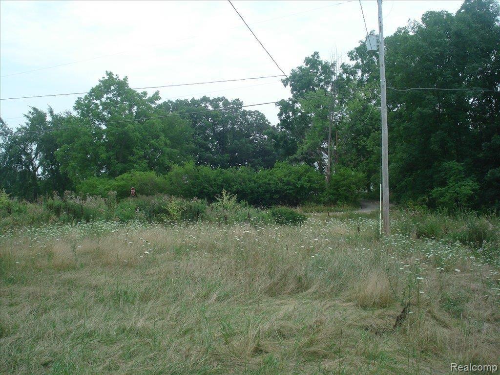 18248 Hickory Ridge Road Fenton, MI 48430 - Photo 8 of 23 DSC00537