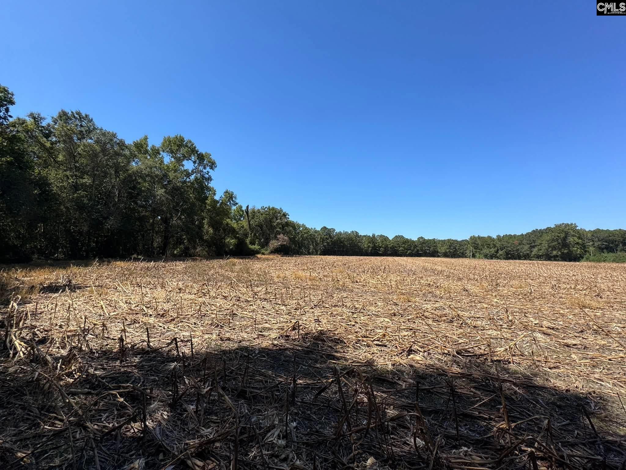 St Matthews Church Road Sumter, SC 29153 - Photo 27 of 34 Gallery Image 27