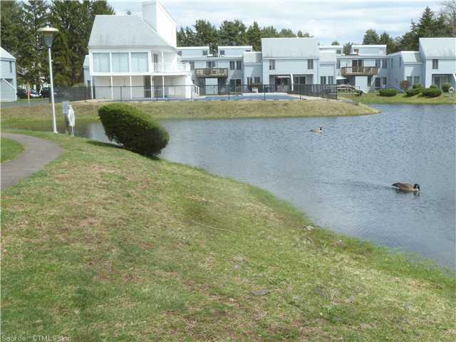 a view of a swimming pool and a chairs