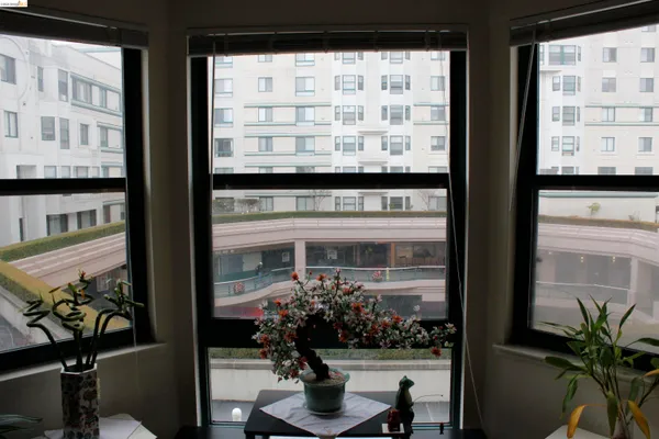 a living room filled with furniture and a potted plant