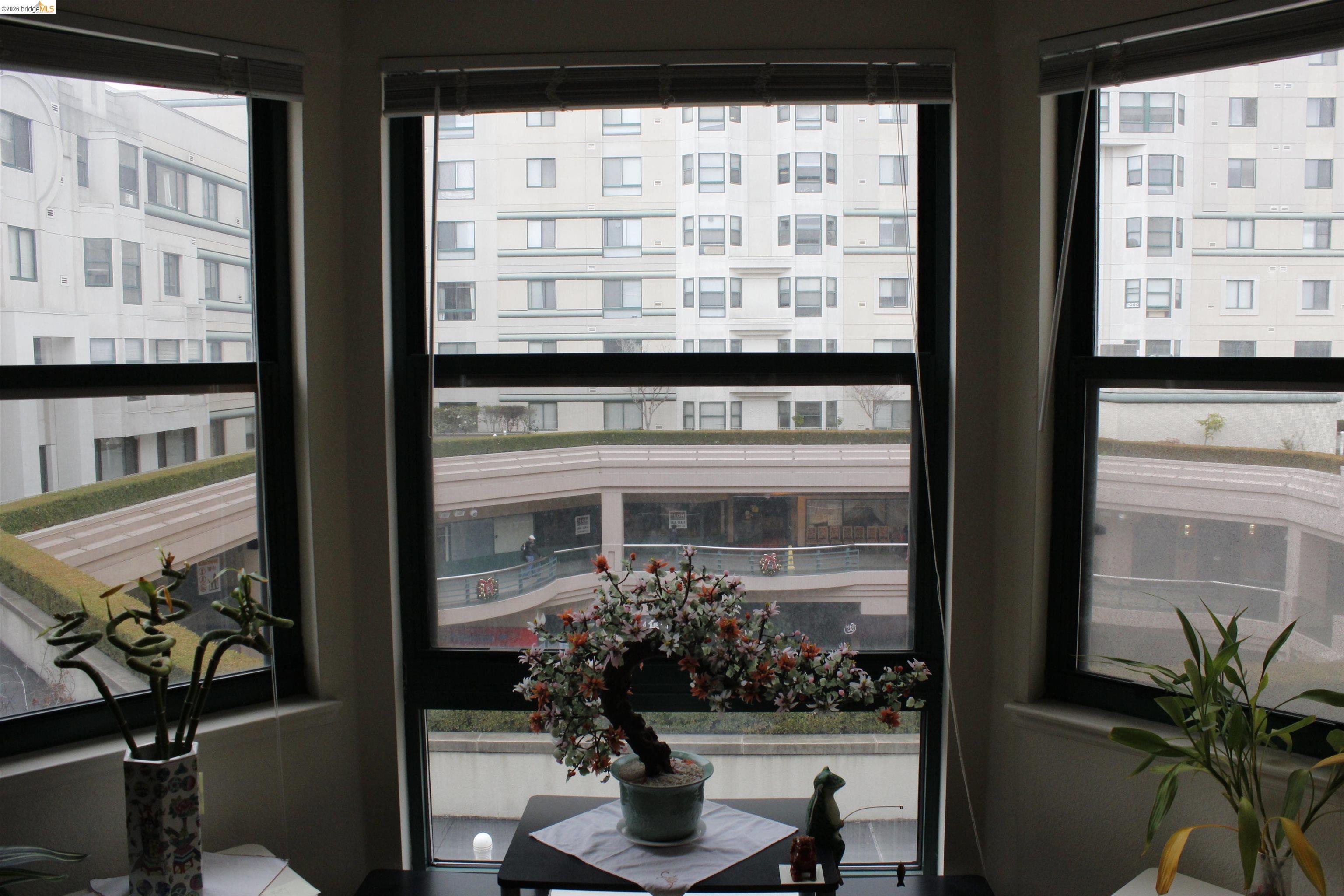 a living room filled with furniture and a potted plant