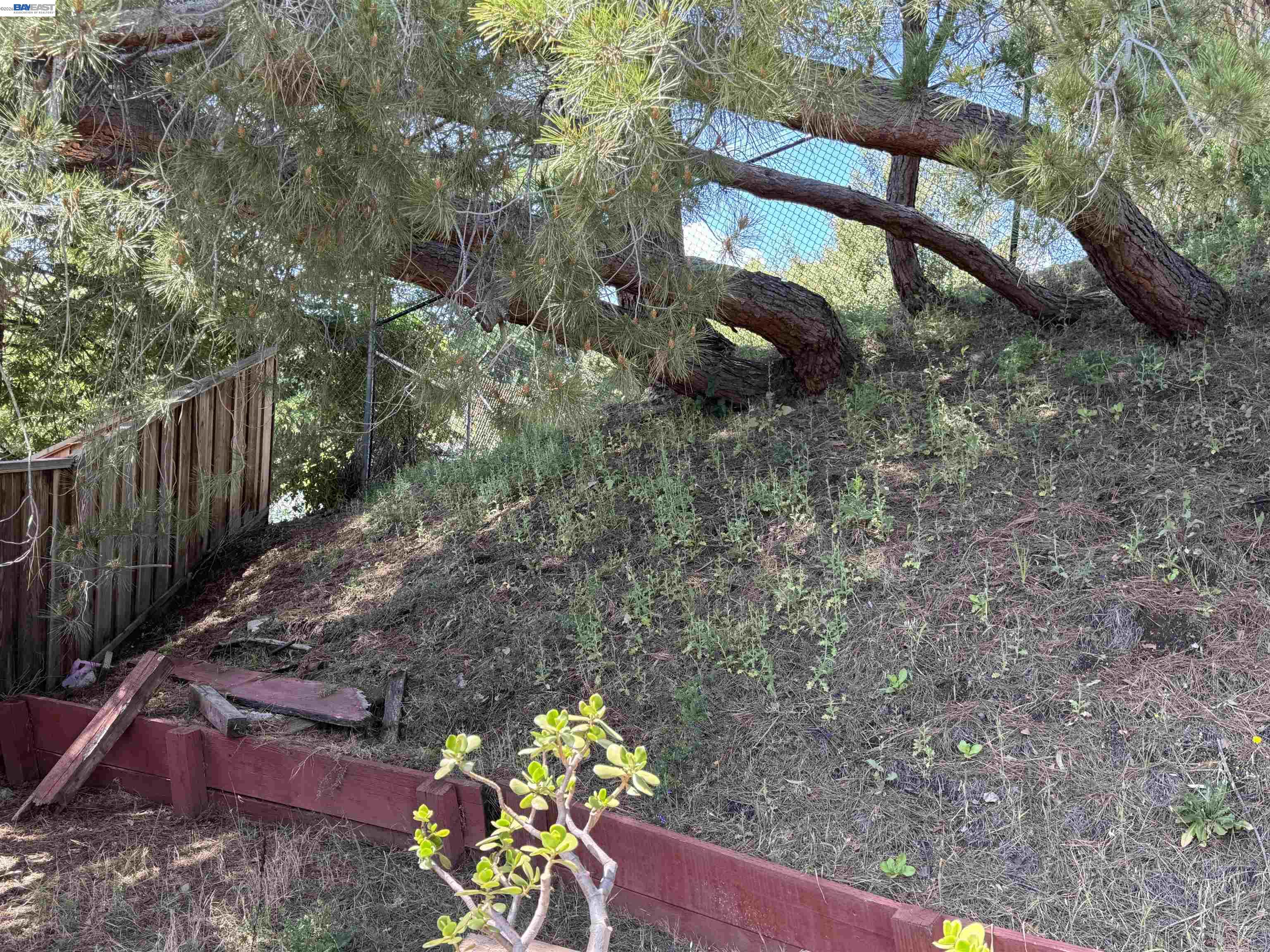 8206 Rhoda Avenue Dublin, CA 94568 - Photo 8 of 27 a view of a yard