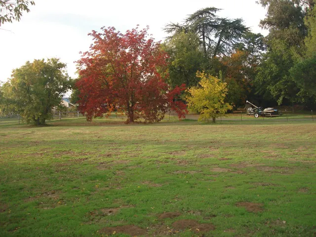 a spacious bedroom with a bed and a chandelier