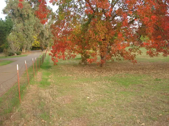 a view of a golf course