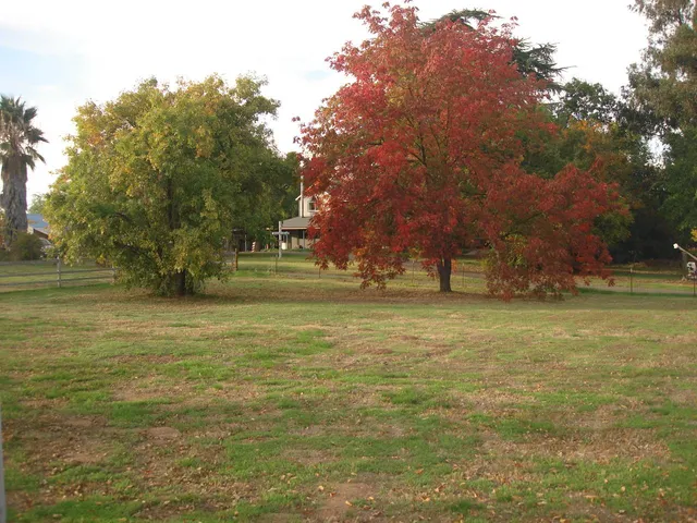 $839,500 | 7029 West 4th Street, Rio Linda, CA 95673