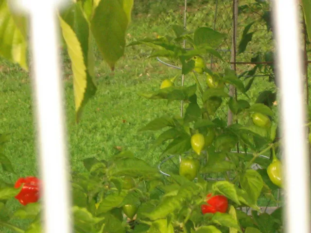 $839,500 | 7029 West 4th Street, Rio Linda, CA 95673