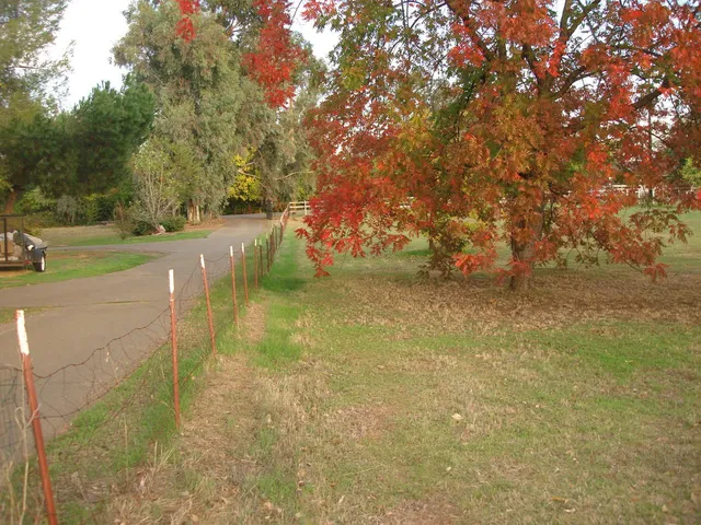 $839,500 | 7029 West 4th Street, Rio Linda, CA 95673