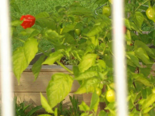 $839,500 | 7029 West 4th Street, Rio Linda, CA 95673