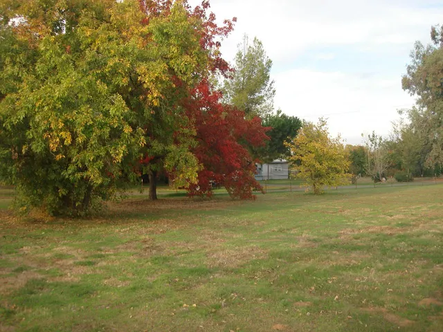 $839,500 | 7029 West 4th Street, Rio Linda, CA 95673