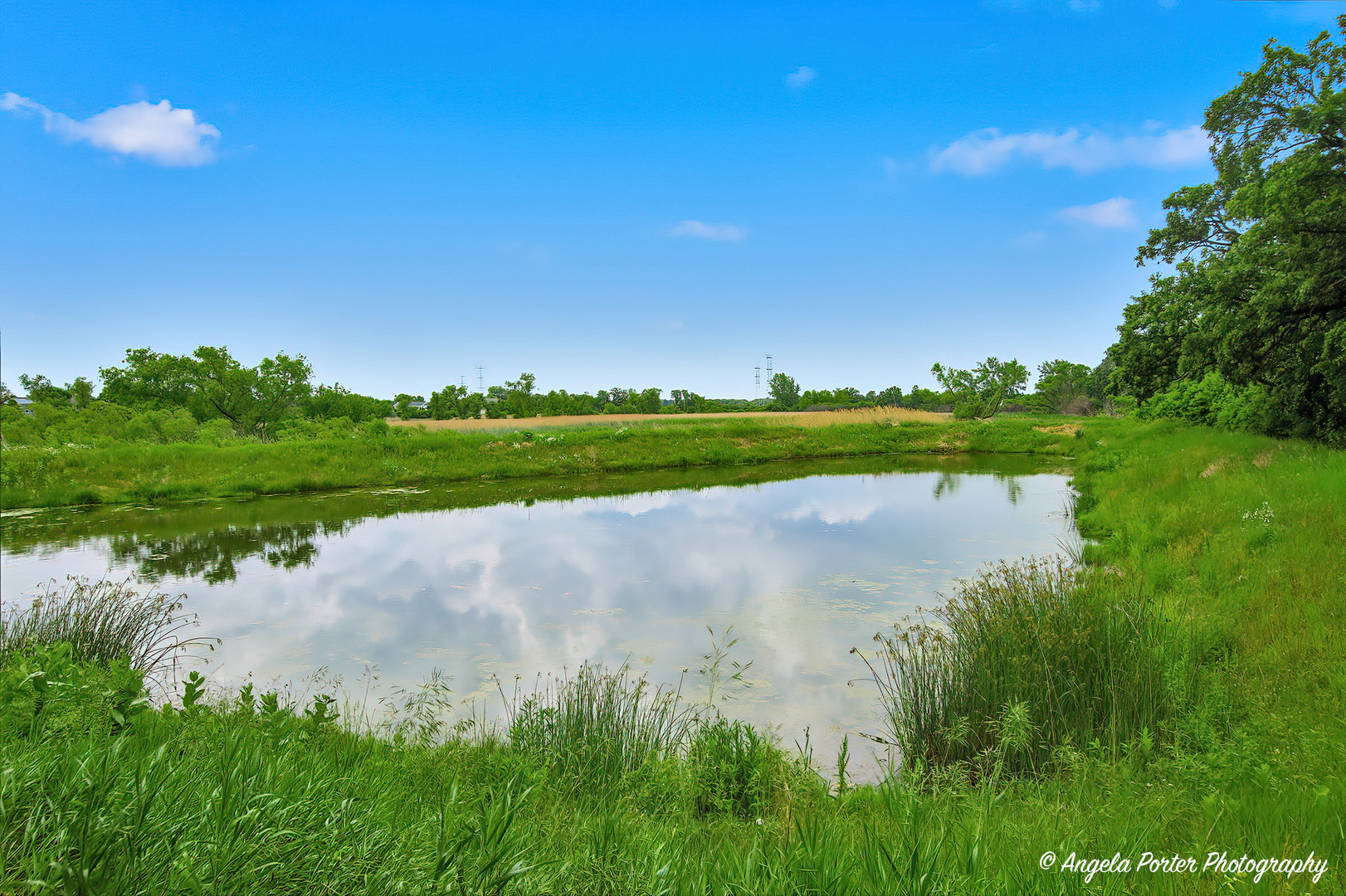 1152 Piccolo Lane Volo, IL 60073 - Photo 28 of 28