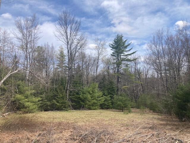 81 Butters Hill Road Stoneham, ME 04231 - Photo 5 of 7 IMG_2124