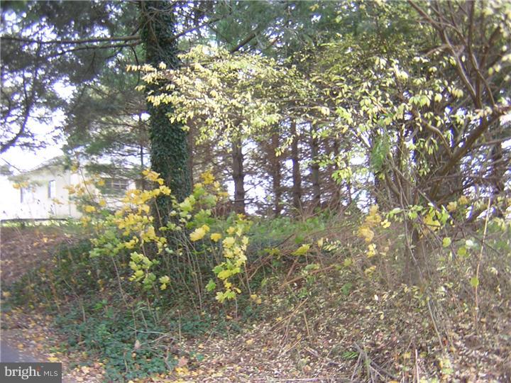 260 Ellicott Road Avondale, PA 19311 - Photo 5 of 13