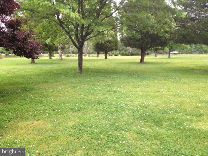 1112 Whitehall Road Newfield, NJ 08344 - Photo 22 of 25