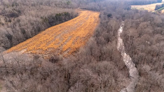 a view of a dry yard with wooden fence
