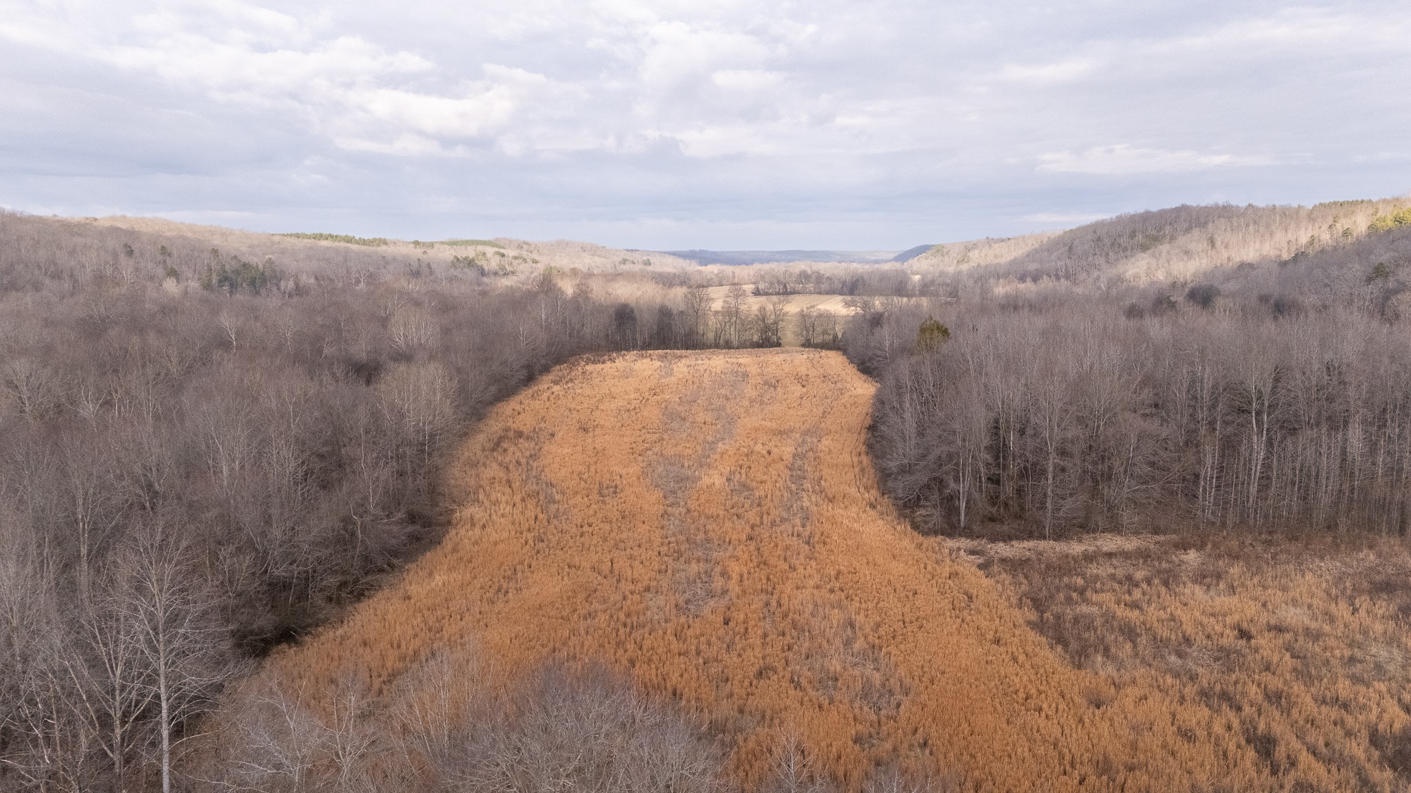 2596 Old Weatherford Creek Road Lutts, TN 38471 - Photo 15 of 15 a view of a dry yard with wooden fence