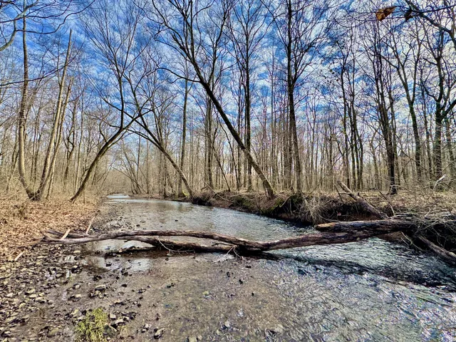 a view of a backyard of the house
