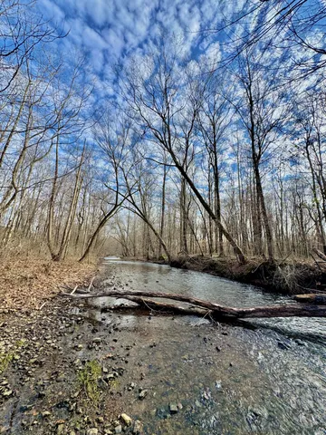 a view of a backyard of the house