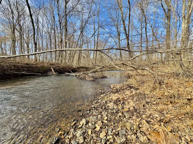 a view of a backyard of the house