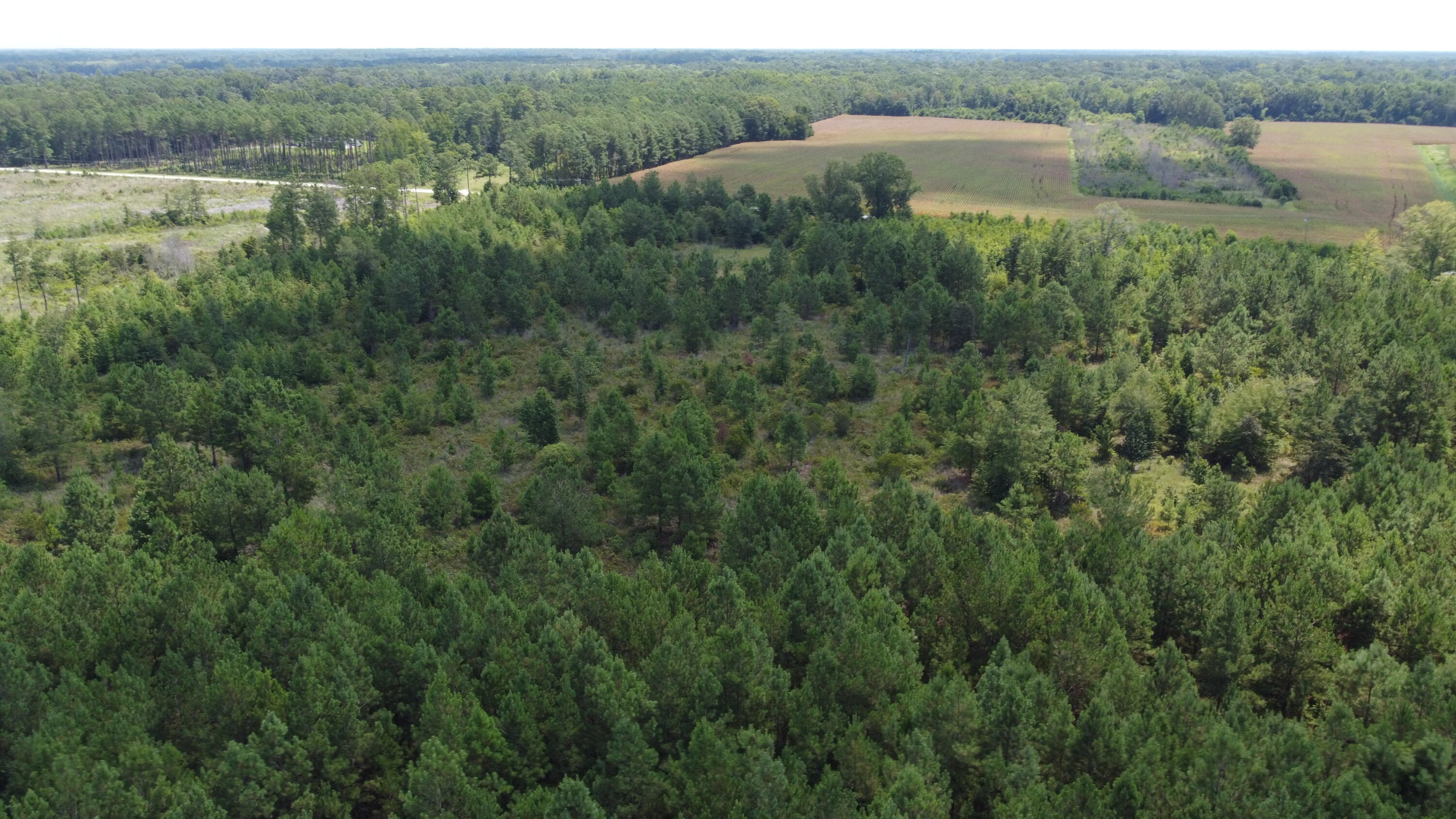 1 Farmington Road Gable, SC 29051 - Photo 10 of 20