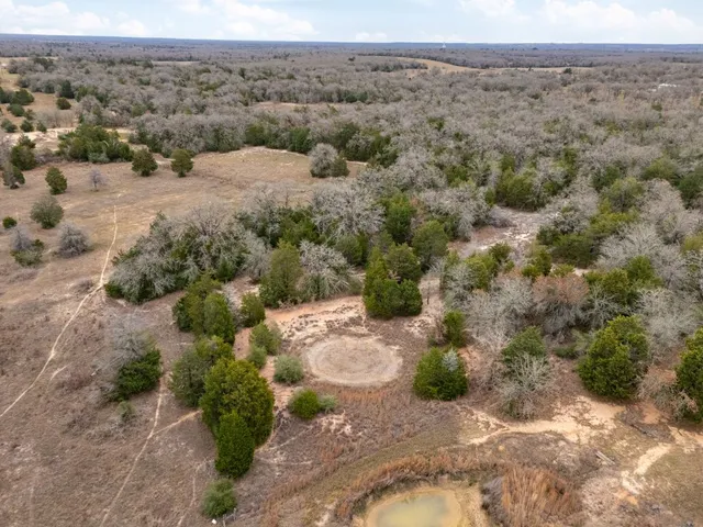 a view of a dry yard with trees