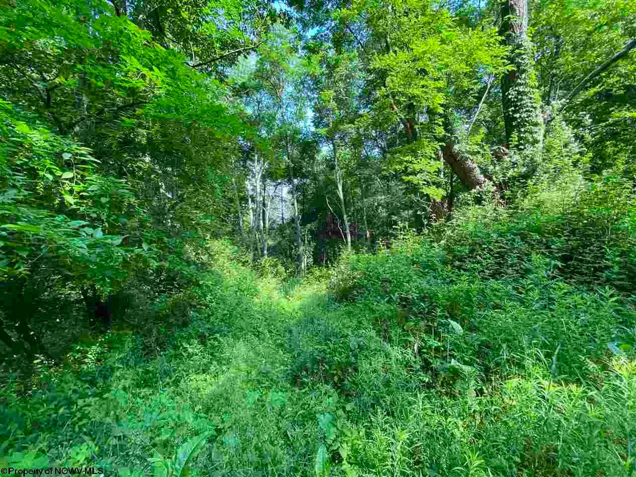 Gallery Image 6