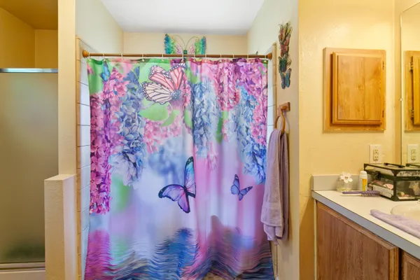a bathroom with a sink and a curtain