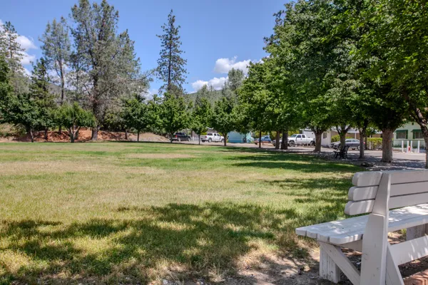 a view of a park with large trees