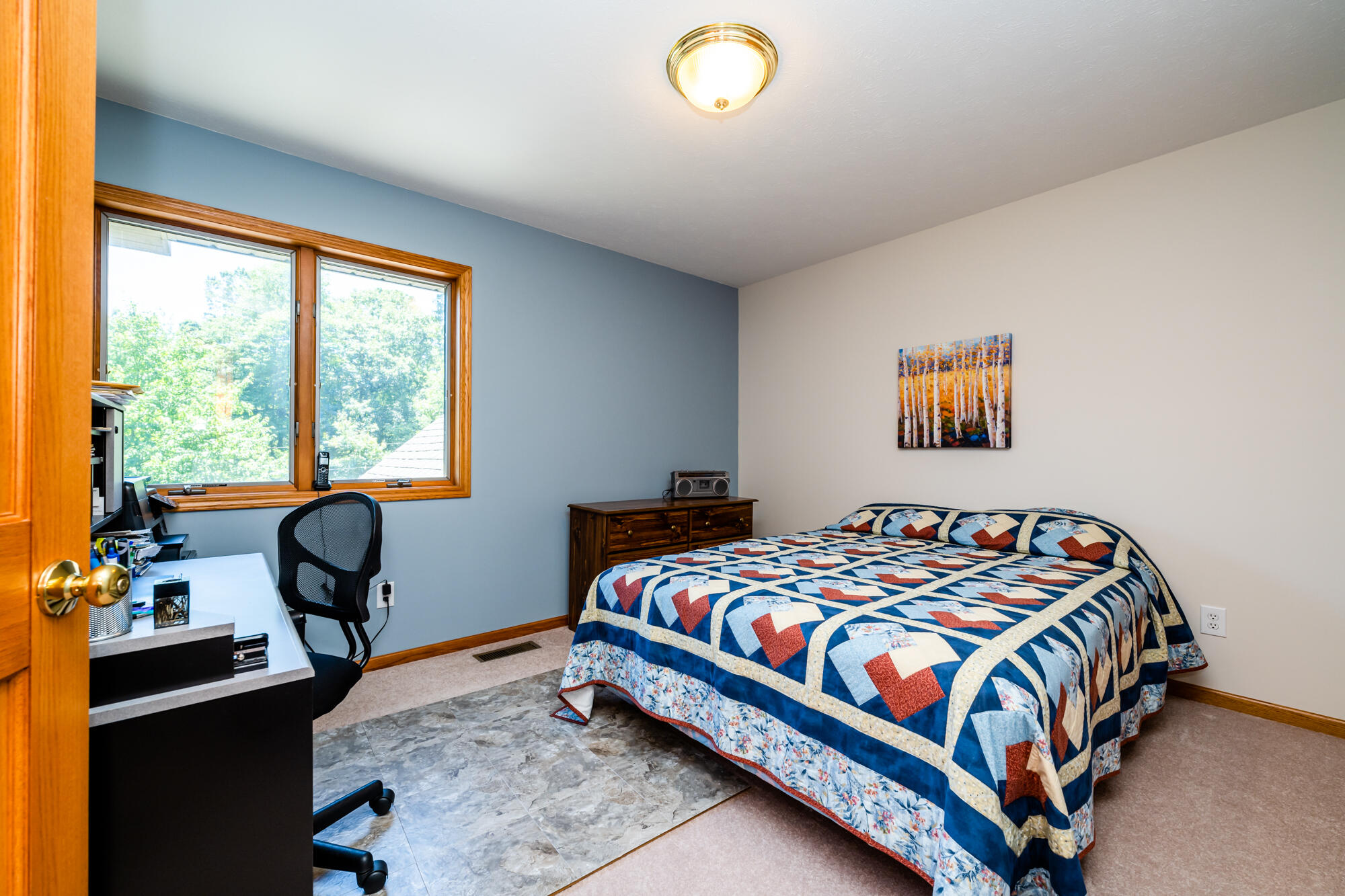 1301 East Snow Road Berrien Springs, MI 49103 - Photo 14 of 49 Snow-129