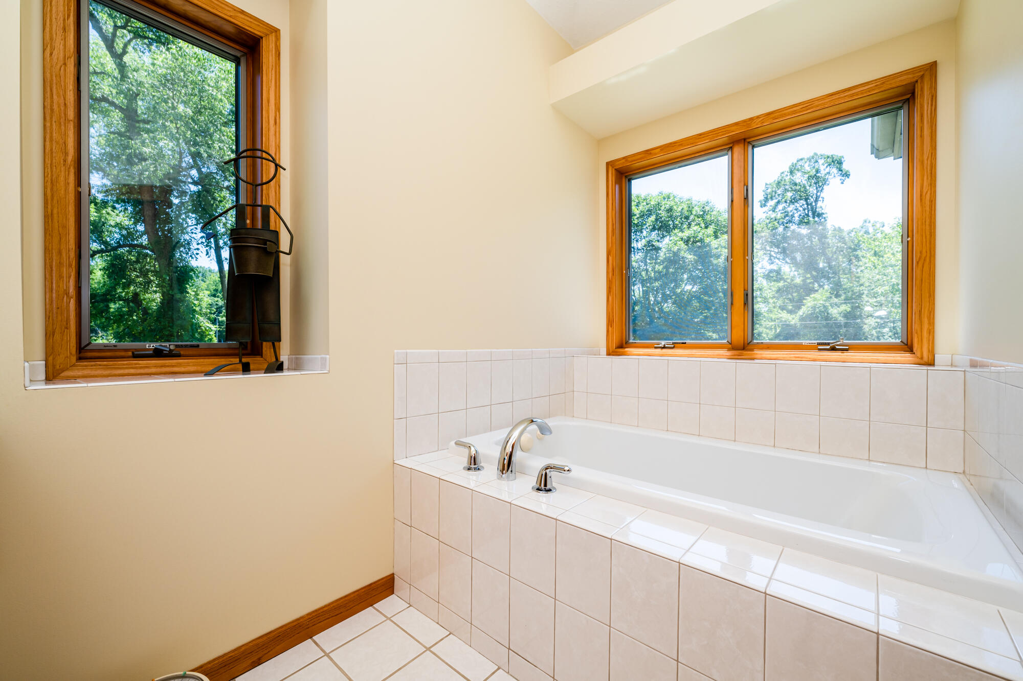 1301 East Snow Road Berrien Springs, MI 49103 - Photo 32 of 49 Snow-121
