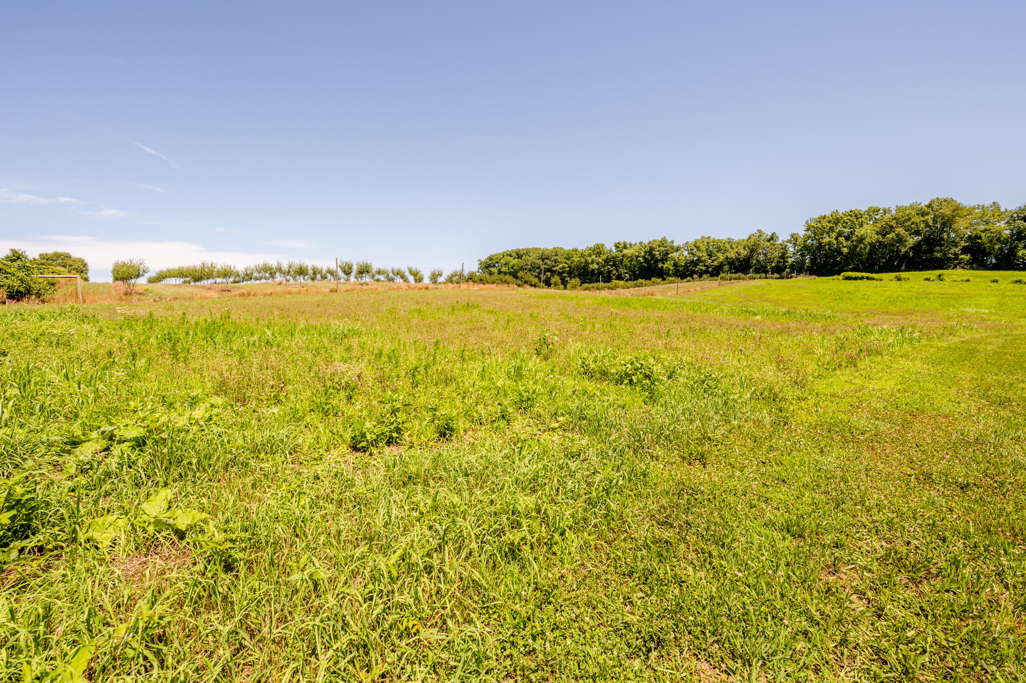 1301 East Snow Road Berrien Springs, MI 49103 - Photo 45 of 49 Snow-145