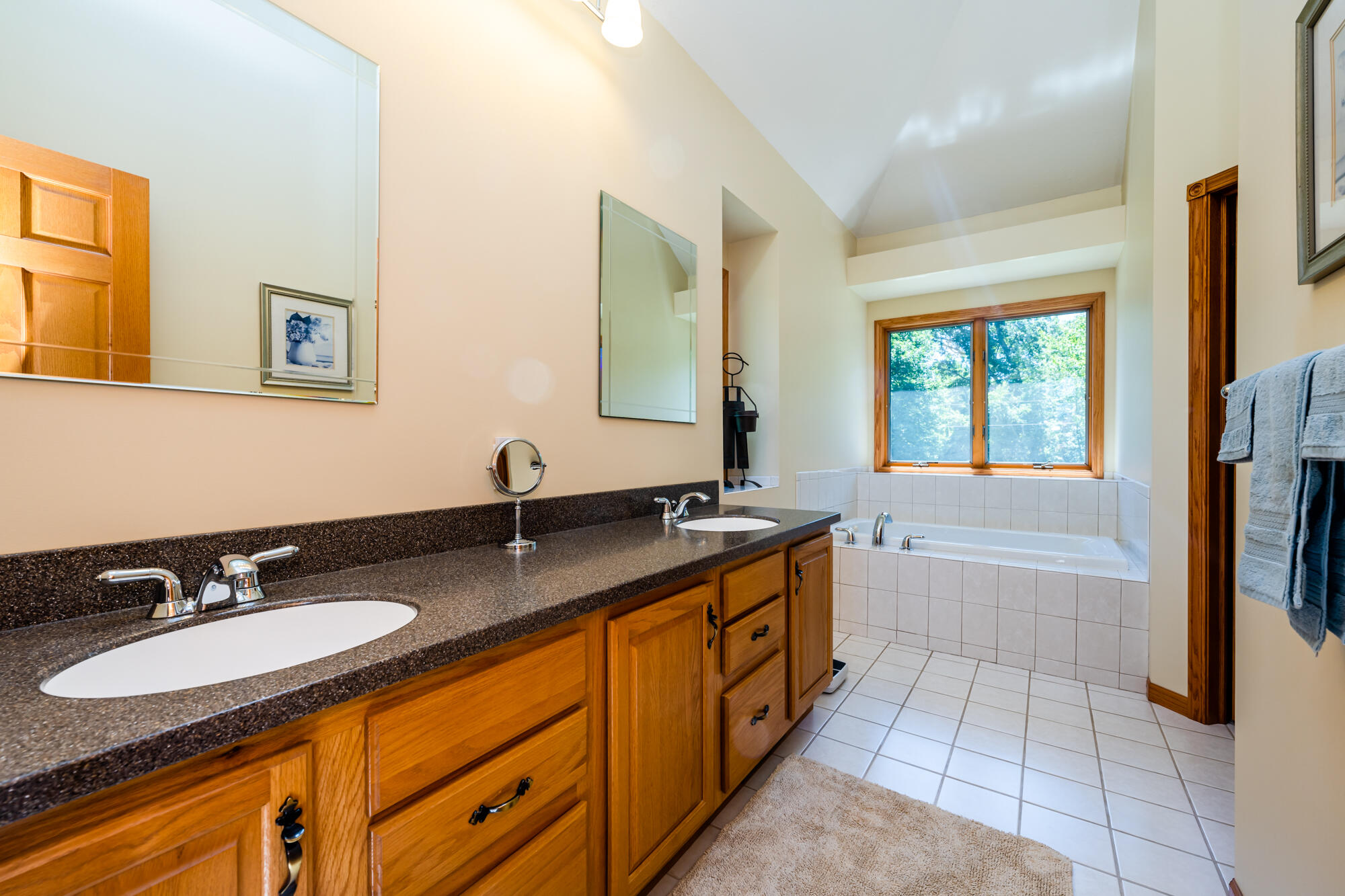 1301 East Snow Road Berrien Springs, MI 49103 - Photo 7 of 49 Snow-120