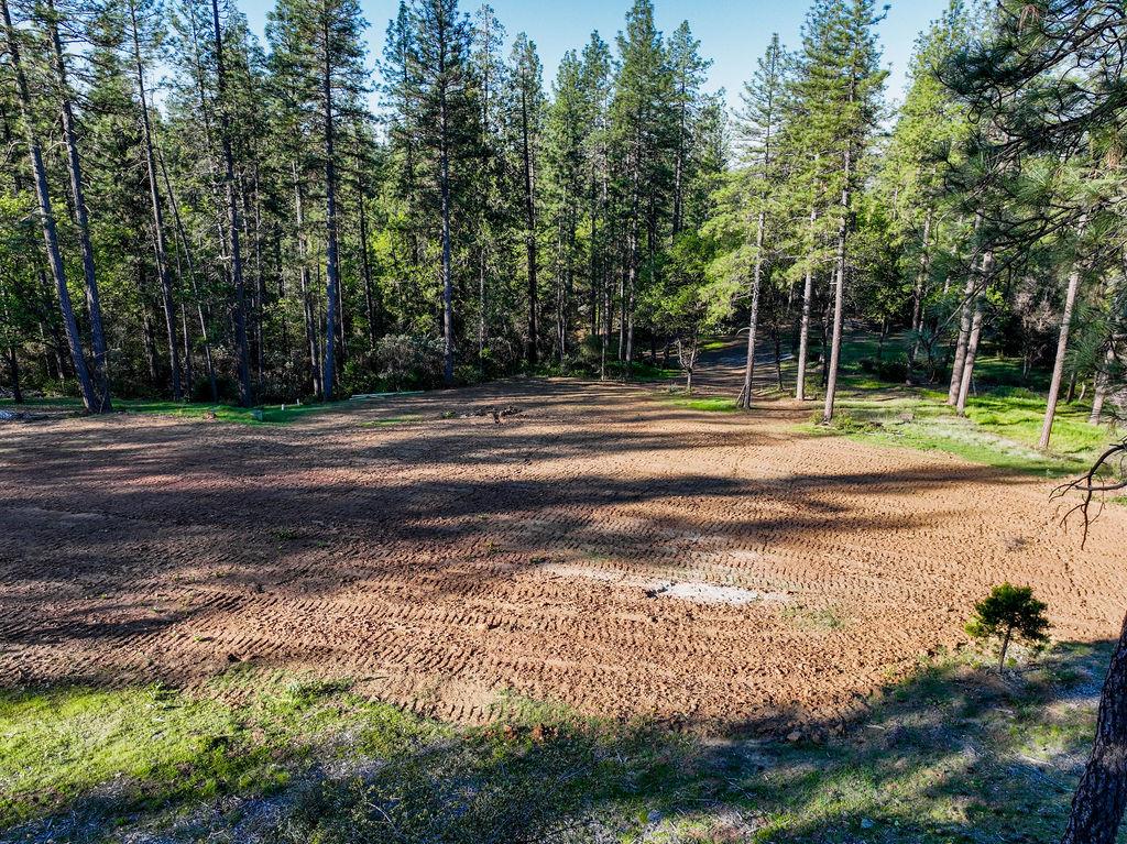 13279 Thoroughbred Loop Grass Valley, CA 95949 - Photo 15 of 33 a view of a yard
