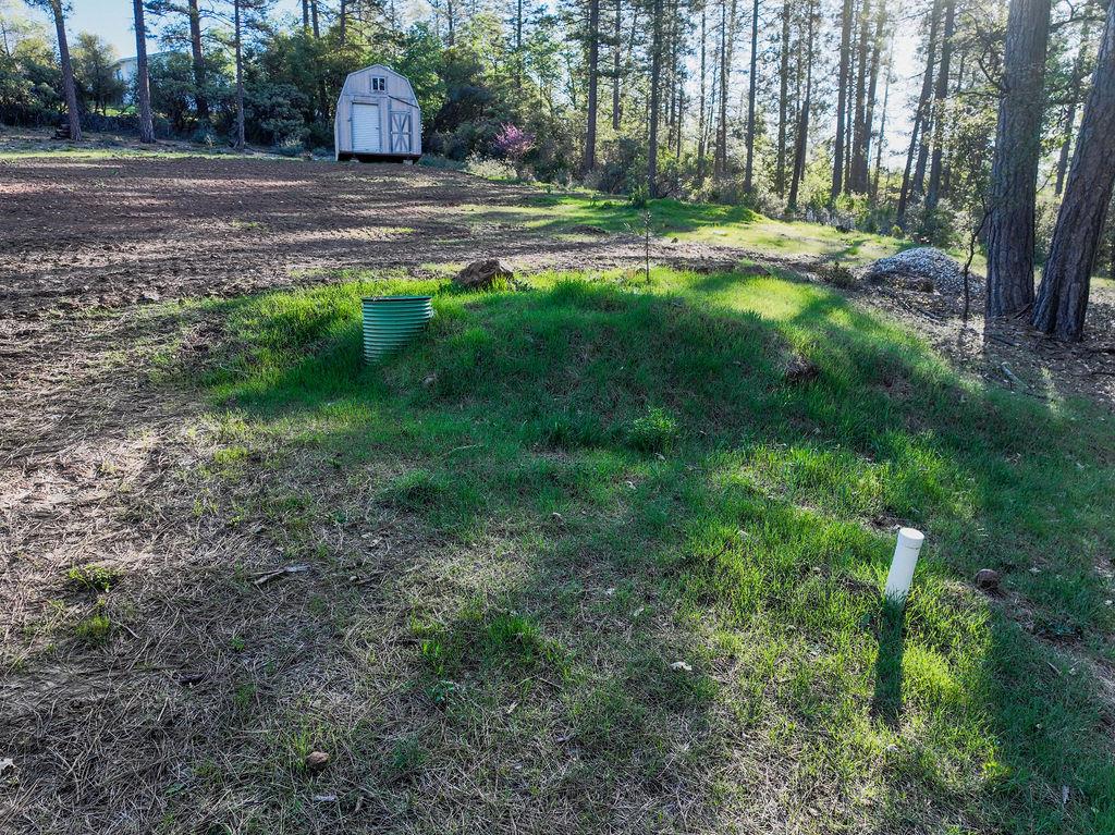 13279 Thoroughbred Loop Grass Valley, CA 95949 - Photo 17 of 33 a view of a yard