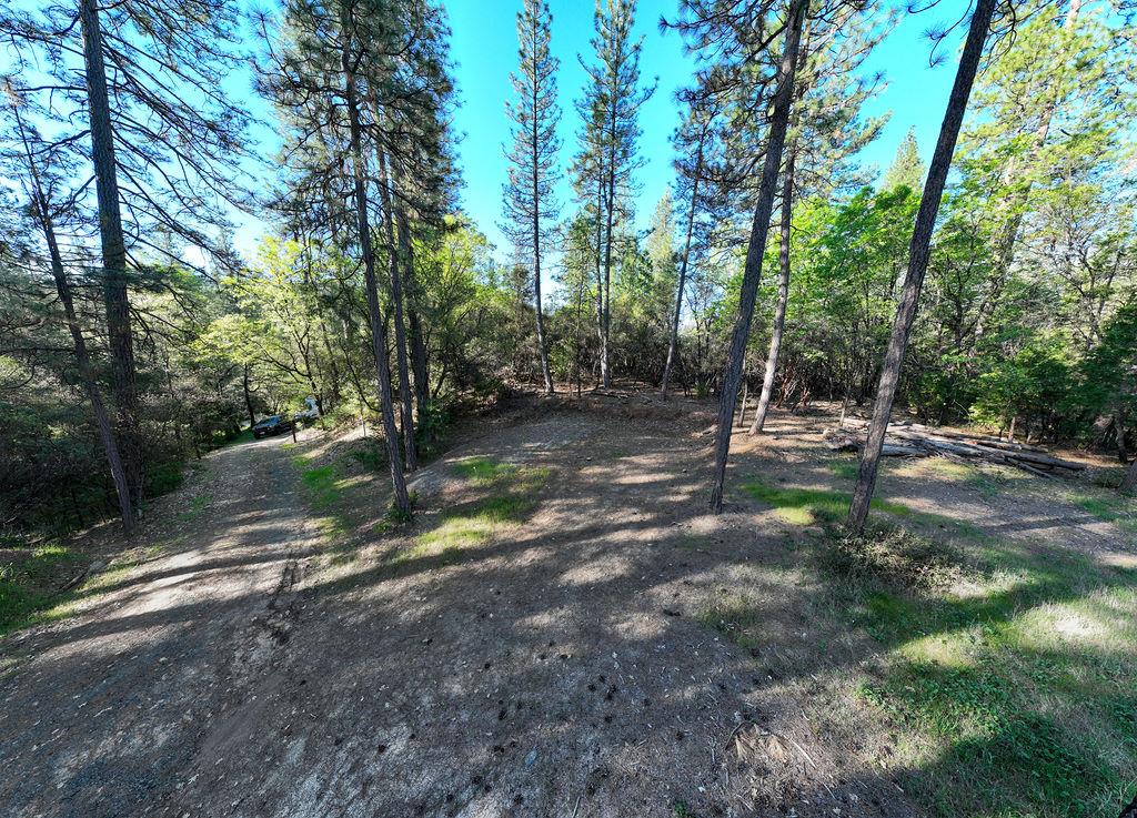 13279 Thoroughbred Loop Grass Valley, CA 95949 - Photo 24 of 33 a view of outdoor space with trees all around