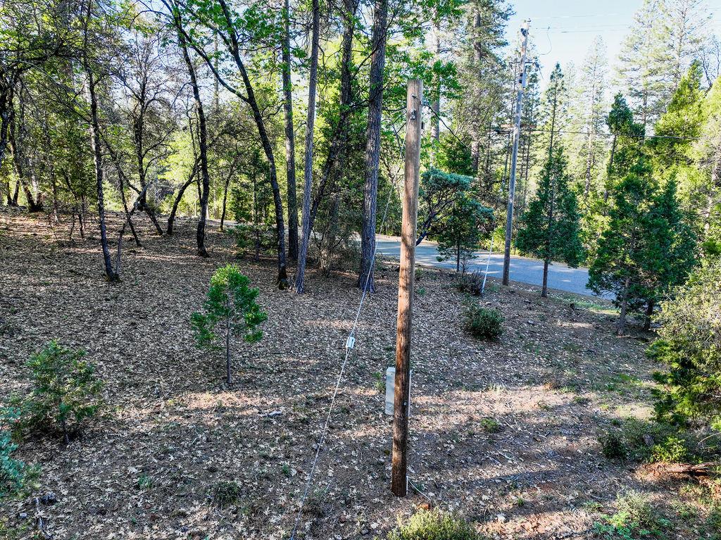 13279 Thoroughbred Loop Grass Valley, CA 95949 - Photo 25 of 33 a backyard of a house with lots of green space
