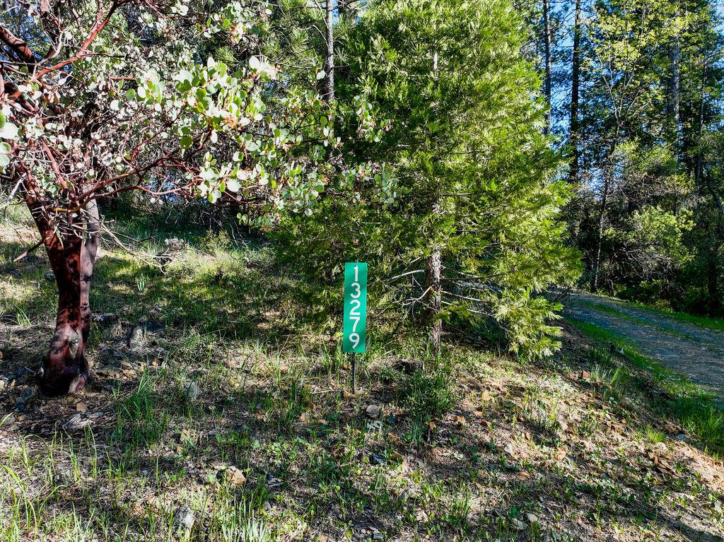 13279 Thoroughbred Loop Grass Valley, CA 95949 - Photo 29 of 33