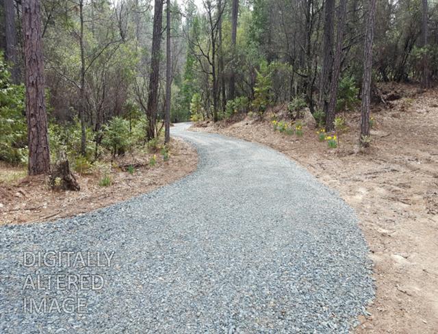 13279 Thoroughbred Loop Grass Valley, CA 95949 - Photo 33 of 33 a backyard of a house with lots of green space