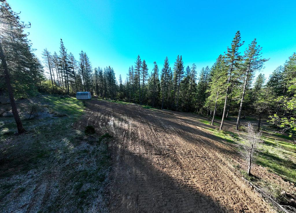 13279 Thoroughbred Loop Grass Valley, CA 95949 - Photo 4 of 33 a view of backyard with green space