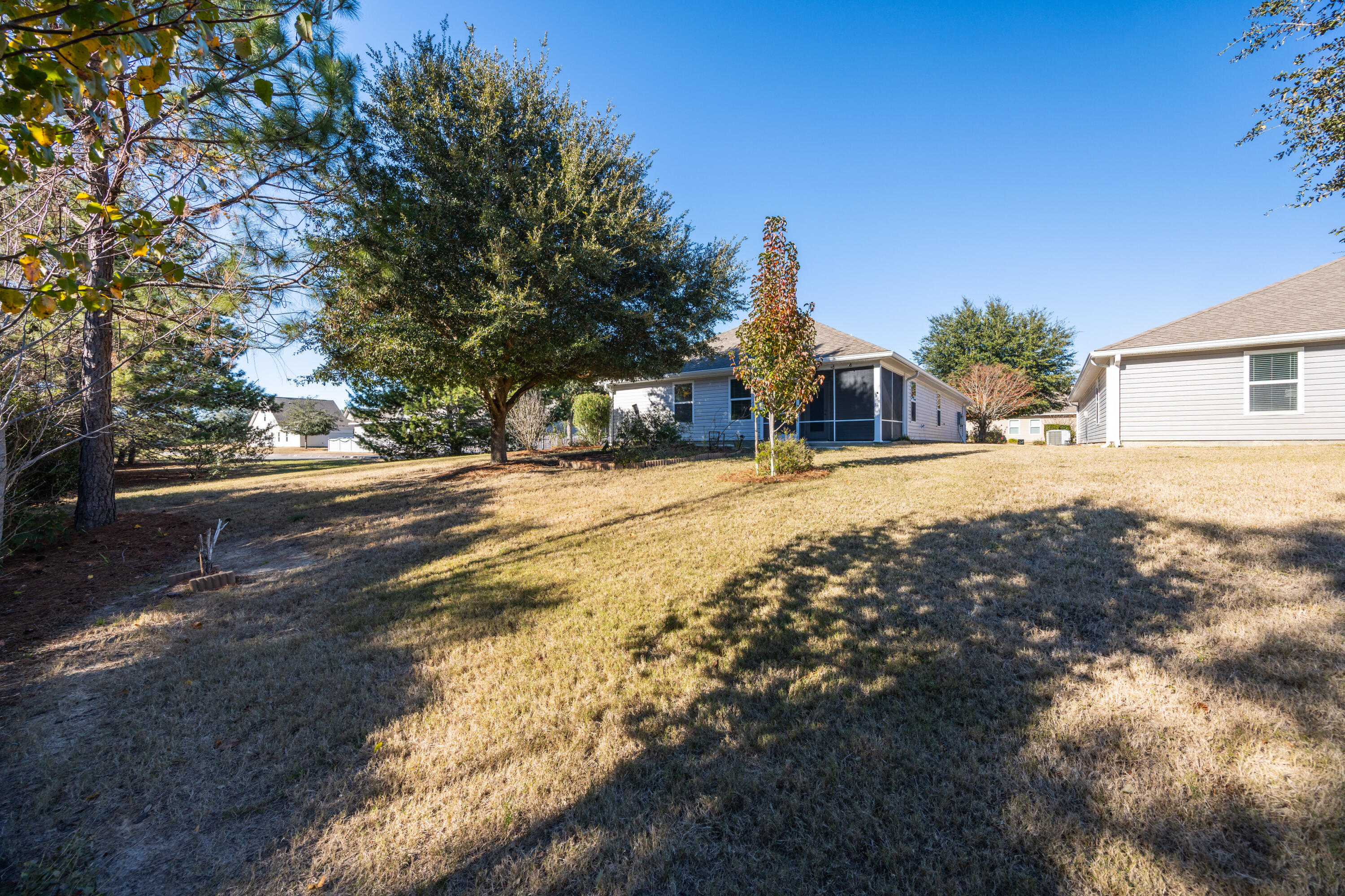 617 Fanny Ann Way Freeport, FL 32439 - Photo 18 of 21 a view of dirt yard with a large tree