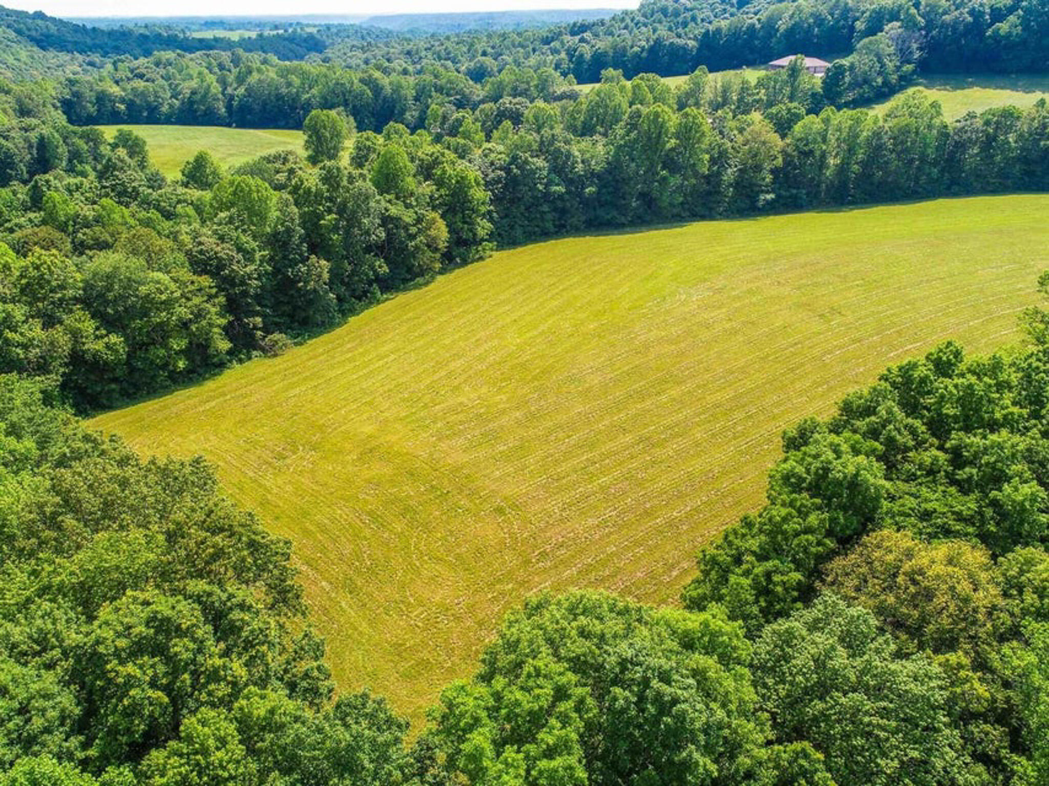 1640 Clear Branch Road Liberty, KY 42539 - Photo 97 of 135 20200917165213920082000000-o