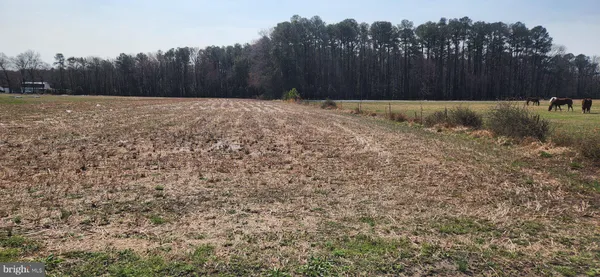 $456,990 | 1 Pepperbox Road, Laurel, DE 19956