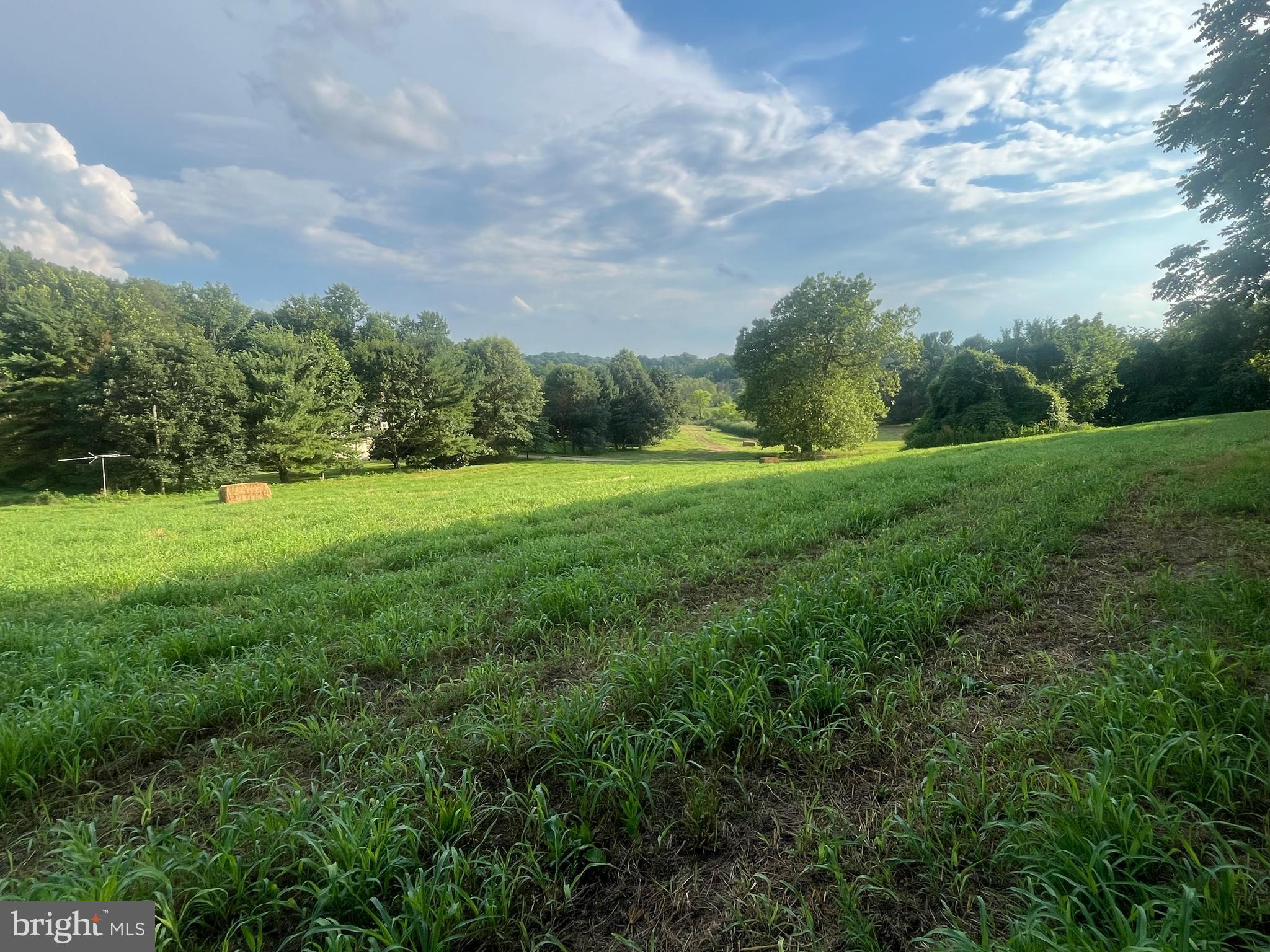 117 Chandler Mill Road Kennett Square, PA 19348 - Photo 6 of 7