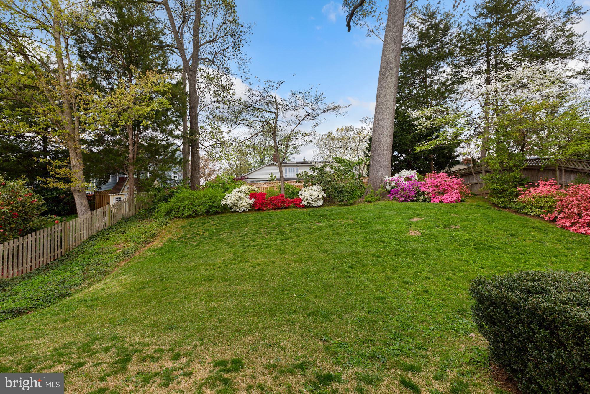 5615 Overlea Road Bethesda, MD 20816 - Photo 41 of 48 Beautiful rear yard.