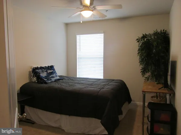 a bedroom with a bed window and a potted plant