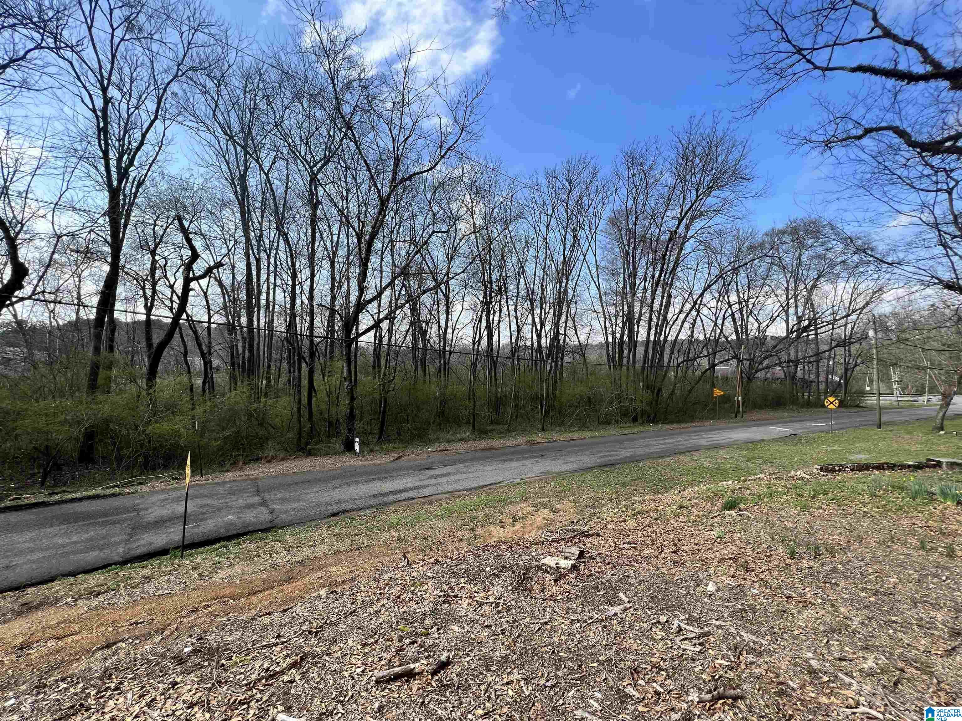 112 Robinson Street, Unit 95 ACRES Springville, AL 35146 - Photo 3 of 5