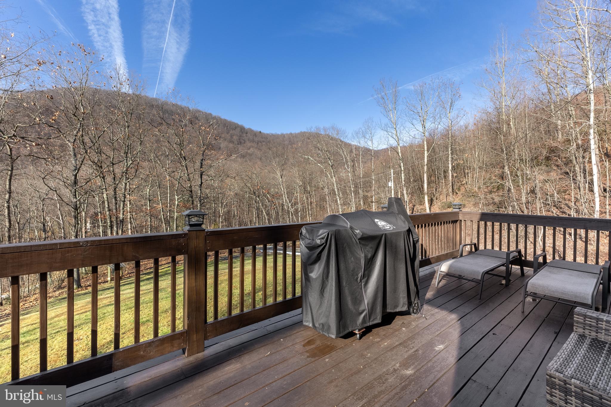 396 Whetstone Run Julian, PA 16844 - Photo 4 of 43