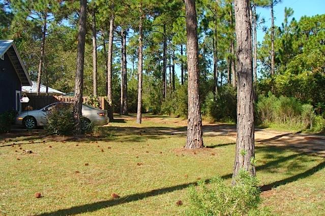 Lot 4 Cord Road Santa Rosa Beach, FL 32459 - Photo 7 of 10 View Toward Lot 4