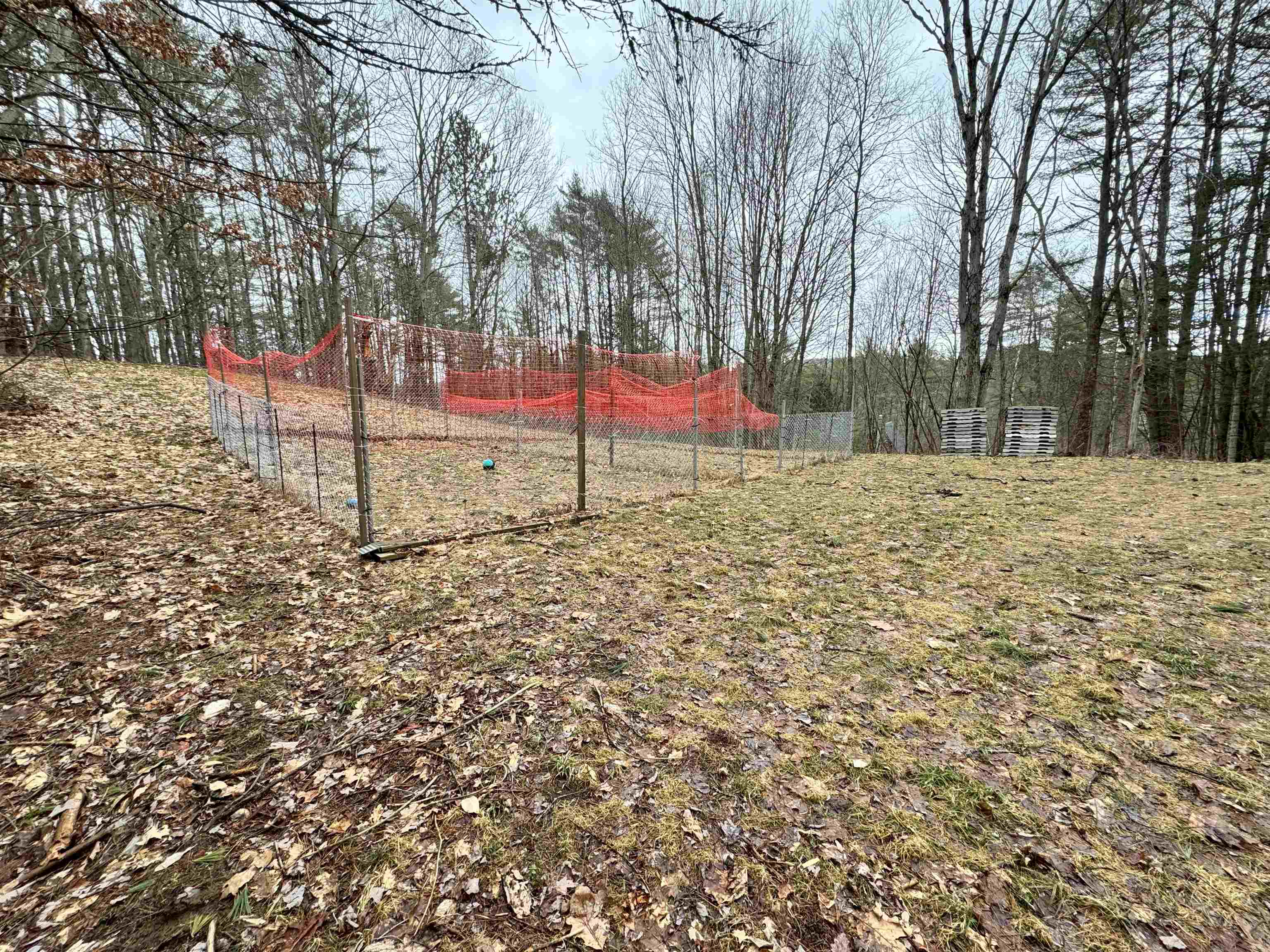 170 Hodge Hill Road Lisbon, NH 03585 - Photo 15 of 28 Gallery Image 15