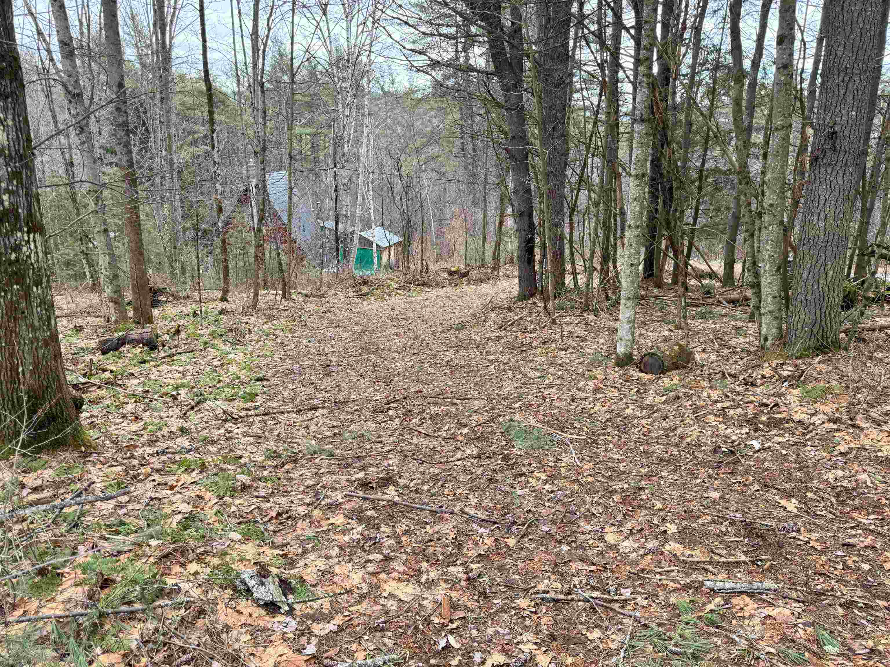 170 Hodge Hill Road Lisbon, NH 03585 - Photo 19 of 28 Gallery Image 19